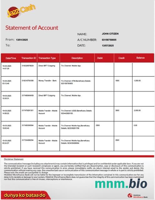 Pakistan Mobilink mikrofinansowy wyciąg bankowy z konta Word i szablon PDF, 2 strony